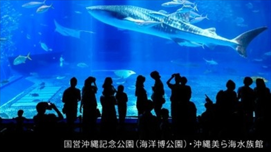 □【美ら海水族館】一度は行ってみて♪沖縄美ら海水族館チケット付☆彡（食事なし）